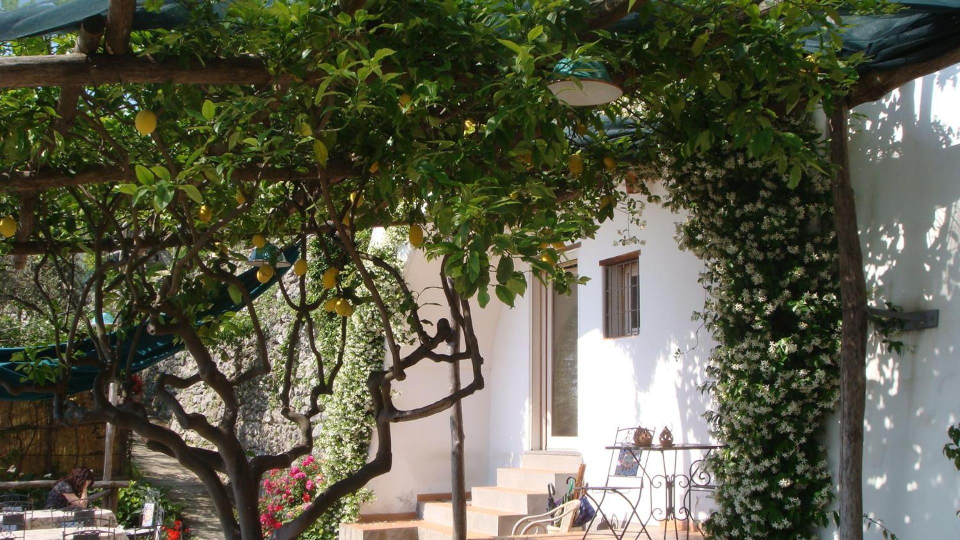 Villa Rina Amalfi Eksteriør billede